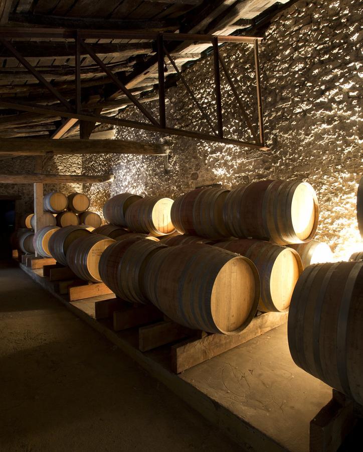 Maison Le Sèpe - Vignoble et Maison d'hôtes Sainte-Radegonde  Esterno foto